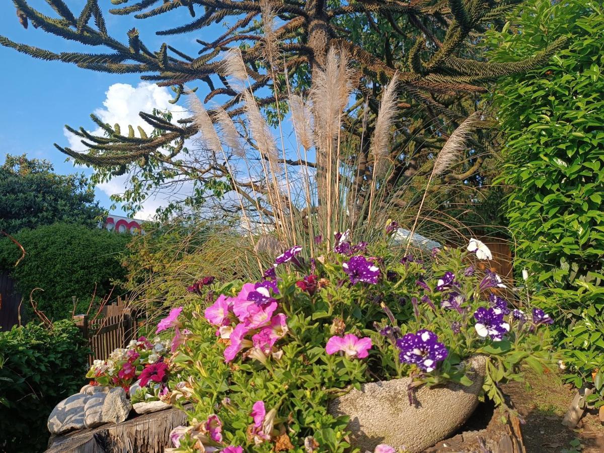 B&B Il Tulipano Como Buitenkant foto