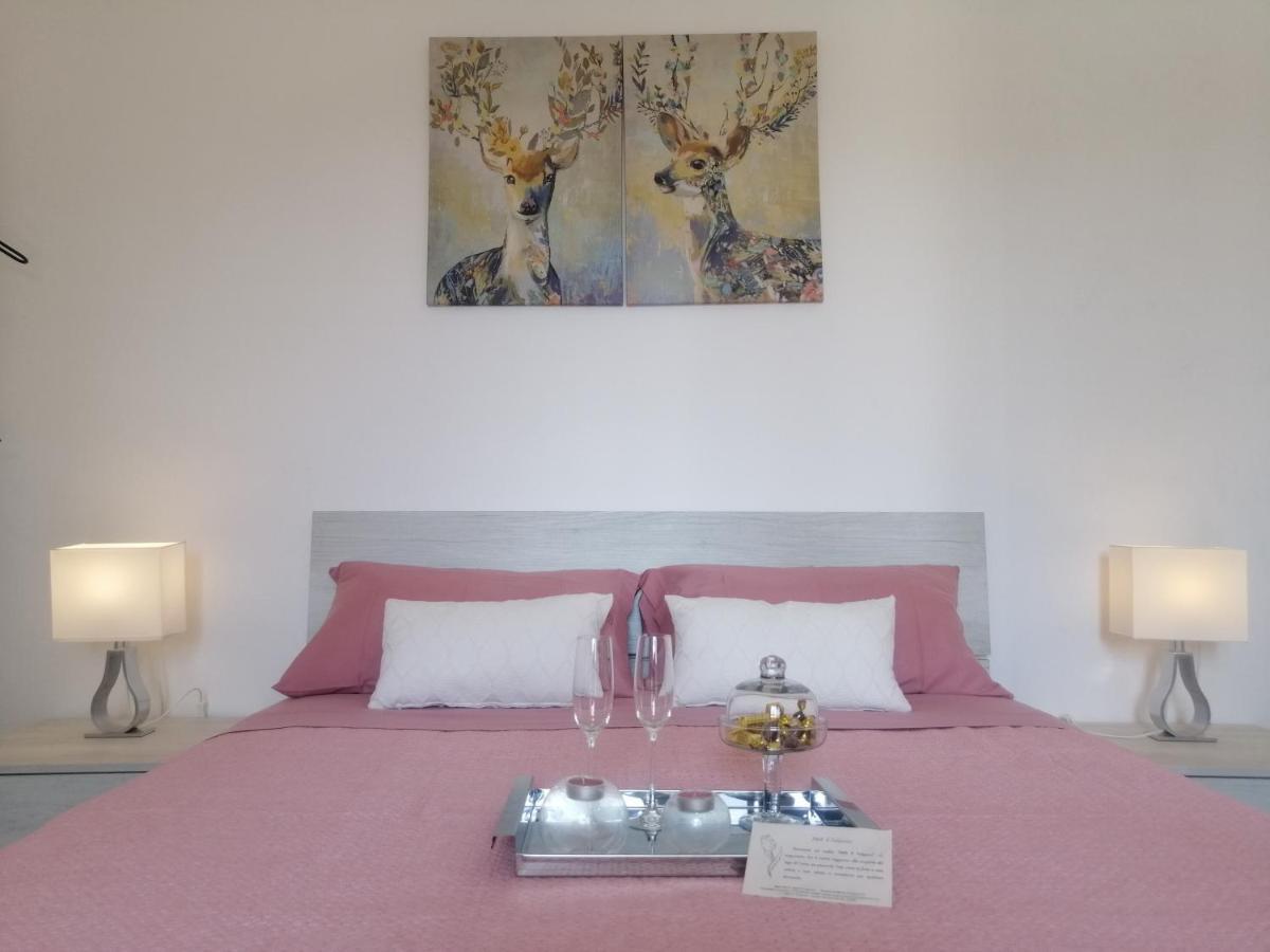 B&B Il Tulipano Como Buitenkant foto